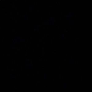 Meet your Posher, Maci